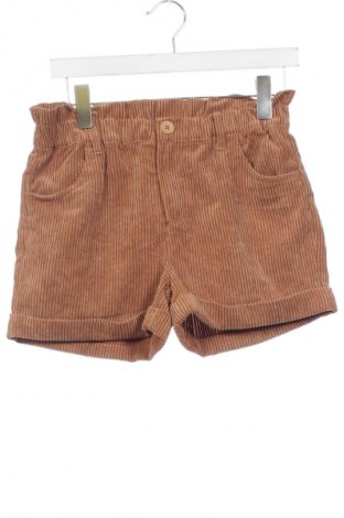 Dziecięce szorty Tex, Rozmiar 13-14y/ 164-168 cm, Kolor Brązowy, Cena 6,99 zł