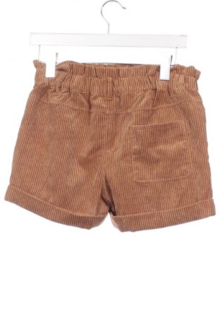 Dziecięce szorty Tex, Rozmiar 13-14y/ 164-168 cm, Kolor Brązowy, Cena 6,99 zł