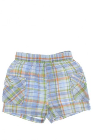 Dziecięce szorty The Children's Place, Rozmiar 6-9m/ 68-74 cm, Kolor Kolorowy, Cena 6,99 zł
