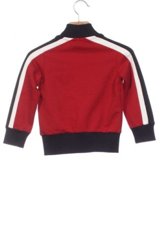 Dziecięca sportowa bluza Unbranded, Rozmiar 12-18m/ 80-86 cm, Kolor Kolorowy, Cena 12,99 zł