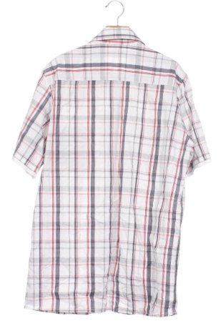 Herrenhemd Grey Connection, Größe XS, Farbe Mehrfarbig, Preis € 3,99