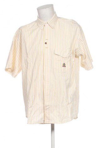 Herrenhemd Unbranded, Größe L, Farbe Mehrfarbig, Preis € 2,99