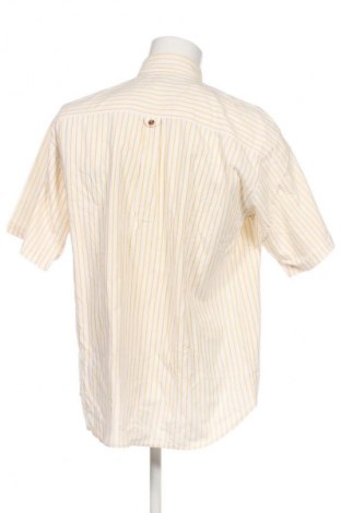 Herrenhemd Unbranded, Größe L, Farbe Mehrfarbig, Preis € 2,99