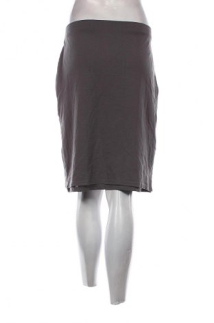 Fustă Andrea, Mărime XL, Culoare Gri, Preț 7,99 Lei