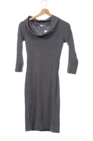 Φόρεμα Palmetto, Μέγεθος XS, Χρώμα Πολύχρωμο, Τιμή 2,99 €