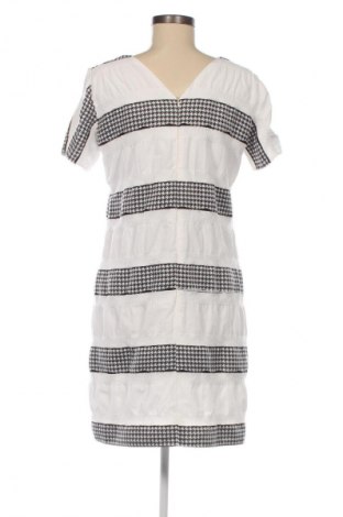 Šaty  Unbranded, Veľkosť L, Farba Viacfarebná, Cena  10,95 €