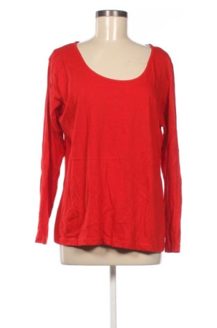 Damen Shirt Janina, Größe XL, Farbe Rot, Preis € 6,99, #137078996
