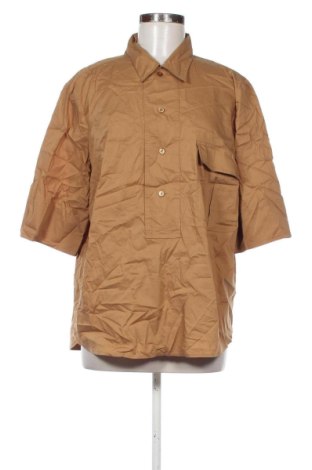 Γυναικεία μπλούζα Unbranded, Μέγεθος XXL, Χρώμα Καφέ, Τιμή 12,99 €, #137096595