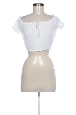 Damen Shirt Terranova, Größe XS, Farbe Weiß, Preis € 7,24, #137148527