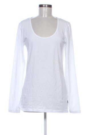 Damen Shirt ONLY, Größe XL, Farbe Weiß, Preis € 14,99, #137157742