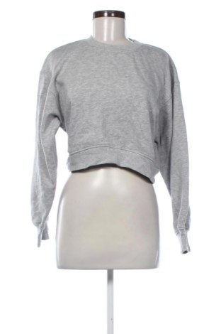 Damen Shirt Zara, Größe S, Farbe Grau, Preis 6,00 €, #137034459