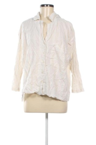 Damenbluse Zara, Größe XL, Farbe Mehrfarbig, Preis 16,99 €, #136813422