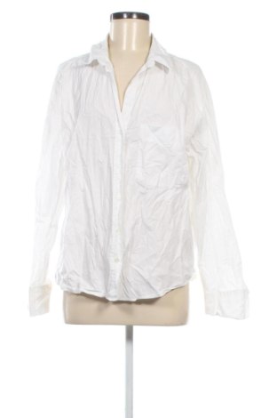 Damenbluse Zara, Größe XXL, Farbe Weiß, Preis 19,99 €, #136981339