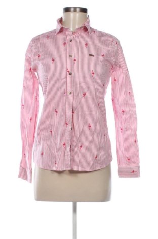 Damska koszula U.S. Polo Assn., Rozmiar S, Kolor Kolorowy, Cena 105,84 zł, #137008732
