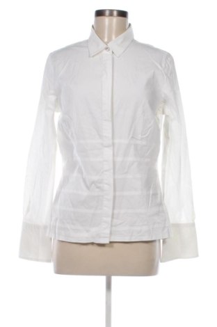 Γυναικείο πουκάμισο The Shirt Company, Μέγεθος XL, Χρώμα Λευκό, Τιμή 19,00 €, #137109403