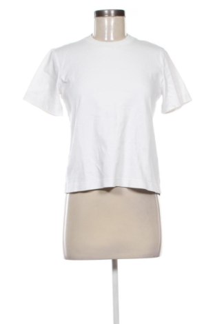 Damen T-Shirt Massimo Dutti, Größe S, Farbe Weiß, Preis € 18,99, #137115780