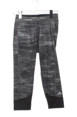 Damskie legginsy Adidas, Rozmiar XS, Kolor Szary, Cena 72,99 zł, #137061408