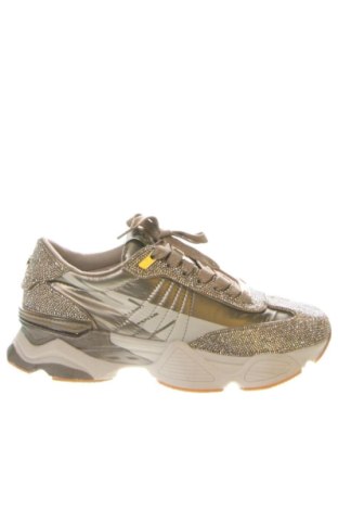 Γυναικεία παπούτσια Steve Madden, Μέγεθος 37, Χρώμα Χρυσαφί, Τιμή 109,99 €, #137058457