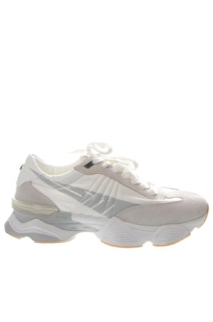 Obuwie damskie Steve Madden, Rozmiar 40, Kolor Kolorowy, Cena 382,99 zł, #137061150
