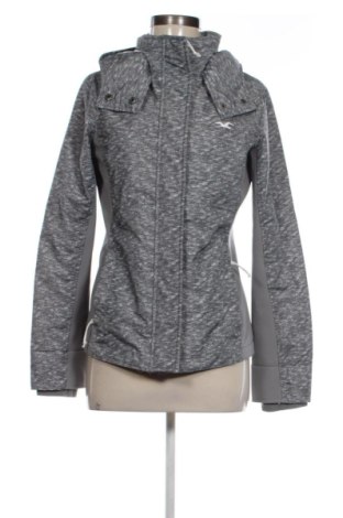 Damenjacke Hollister, Größe M, Farbe Grau, Preis € 13,76, #137078328