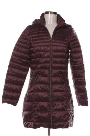 Damenjacke Charles Vogele, Größe S, Farbe Lila, Preis € 20,00, #137120855