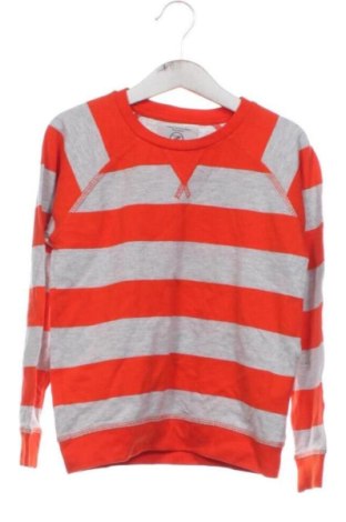 Kinder Shirt Piazza Italia, Größe 5-6y/ 116-122 cm, Farbe Mehrfarbig, Preis € 4,99, #137036826
