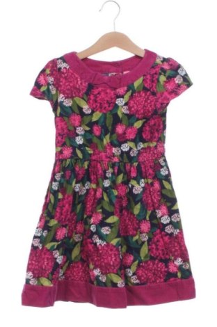 Kinderkleid Gymboree, Größe 4-5y/ 110-116 cm, Farbe Mehrfarbig, Preis 9,00 €, #136974442