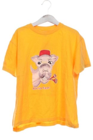 Παιδικό μπλουζάκι Unbranded, Μέγεθος 11-12y/ 152-158 εκ., Χρώμα Πορτοκαλί, Τιμή 6,00 €, #136995989