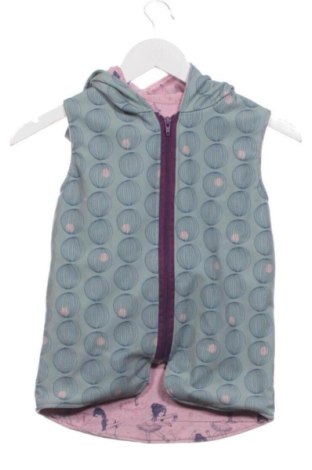 Παιδικό γιλέκο Unbranded, Μέγεθος 5-6y/ 116-122 εκ., Χρώμα Πολύχρωμο, Τιμή 8,00 €, #136899365