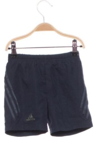 Kinder Shorts Adidas, Größe 12-18m/ 80-86 cm, Farbe Blau, Preis 16,38 €, #137153341