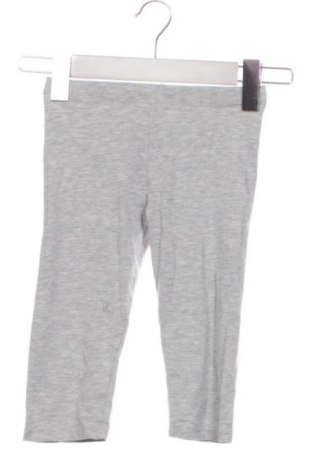 Dětské legíny  Terranova, Velikost 5-6y/ 116-122 cm, Barva Šedá, Cena  139,00 Kč, #137056713