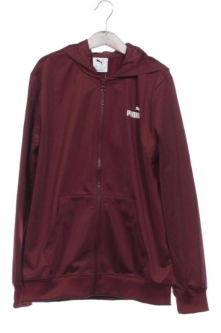 Παιδικό φούτερ PUMA, Μέγεθος 10-11y/ 146-152 εκ., Χρώμα Κόκκινο, Τιμή 15,00 €, #137120617