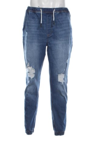 Herren Jeans Denim Co., Größe L, Farbe Blau, Preis € 11,99, #137034662