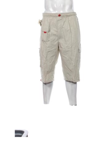 Herren Shorts Unbranded, Größe L, Farbe Beige, Preis 20,99 €, #137022379