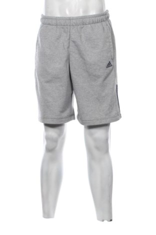 Herren Shorts Adidas, Größe M, Farbe Grau, Preis 25,99 €, #137103910