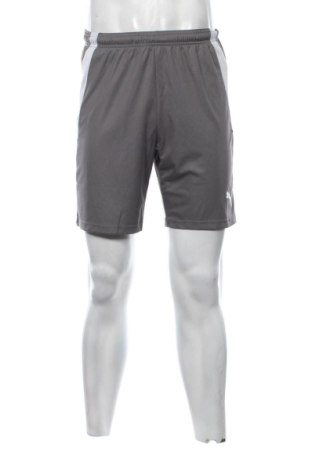 Herren Shorts PUMA, Größe S, Farbe Grau, Preis € 14,99, #137121972