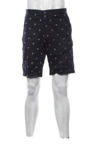 Herren Shorts Unbranded, Größe L, Farbe Mehrfarbig, Preis € 14,99, #137130443