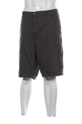 Herren Shorts Straight Up, Größe XXL, Farbe Grau, Preis 12,99 €, #137152202