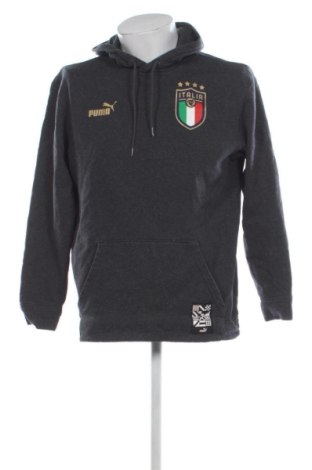 Ανδρικό φούτερ PUMA, Μέγεθος M, Χρώμα Γκρί, Τιμή 24,00 €, #137023589