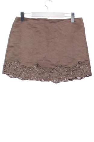 Fustă Unbranded, Mărime L, Culoare Maro, Preț 57,74 Lei, #136857432