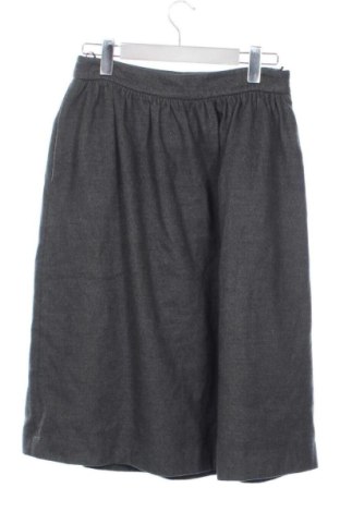 Φούστα Zara, Μέγεθος M, Χρώμα Γκρί, Τιμή 20,00 €, #137065207