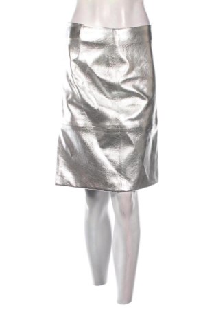 Φούστα H&M, Μέγεθος S, Χρώμα Ασημί, Τιμή 8,33 €, #136990325