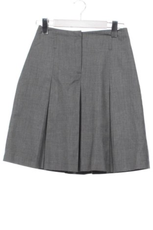 Spódnica Unbranded, Rozmiar XS, Kolor Szary, Cena 38,10 zł, #137025291