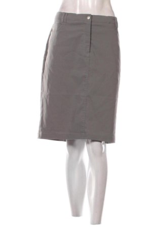 Fustă Bpc Bonprix Collection, Mărime L, Culoare Gri, Preț 31,00 Lei, #137036124
