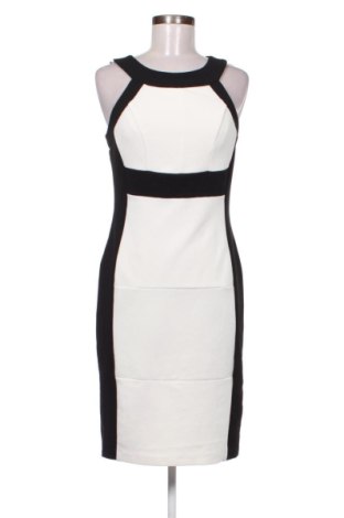 Kleid M&Co., Größe XL, Farbe Mehrfarbig, Preis 25,00 €, #137022583