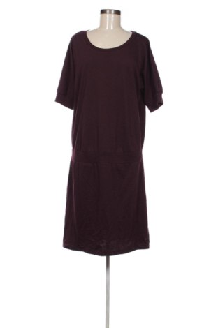 Kleid Limited, Größe XL, Farbe Lila, Preis 16,99 €, #137068726