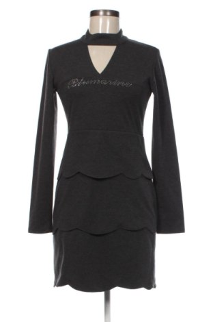 Rochie Blumarine, Mărime M, Culoare Gri, Preț 534,99 Lei, #137069225
