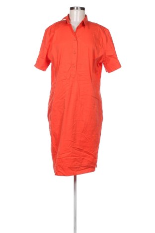 Φόρεμα Bianca, Μέγεθος XL, Χρώμα Πορτοκαλί, Τιμή 12,99 €, #137098375