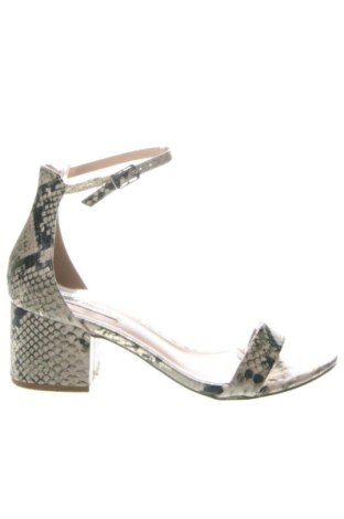 Sandalen Steve Madden, Größe 40, Farbe Mehrfarbig, Preis 48,00 €, #137071341