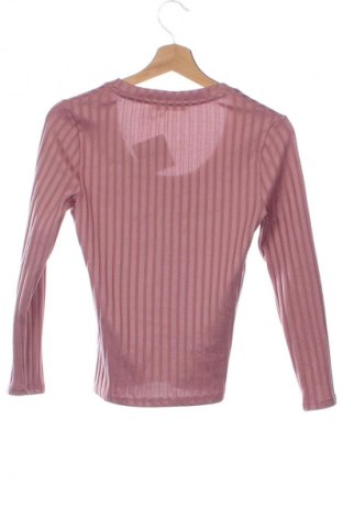 Damen Shirt Mango, Größe XS, Farbe Rosa, Preis 7,99 €